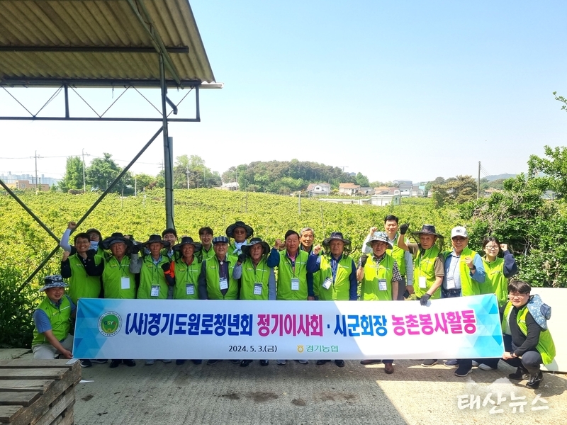  (사)경기도원로청년회 도 연합회 안성에서 시군회장 농촌봉사활동 개최