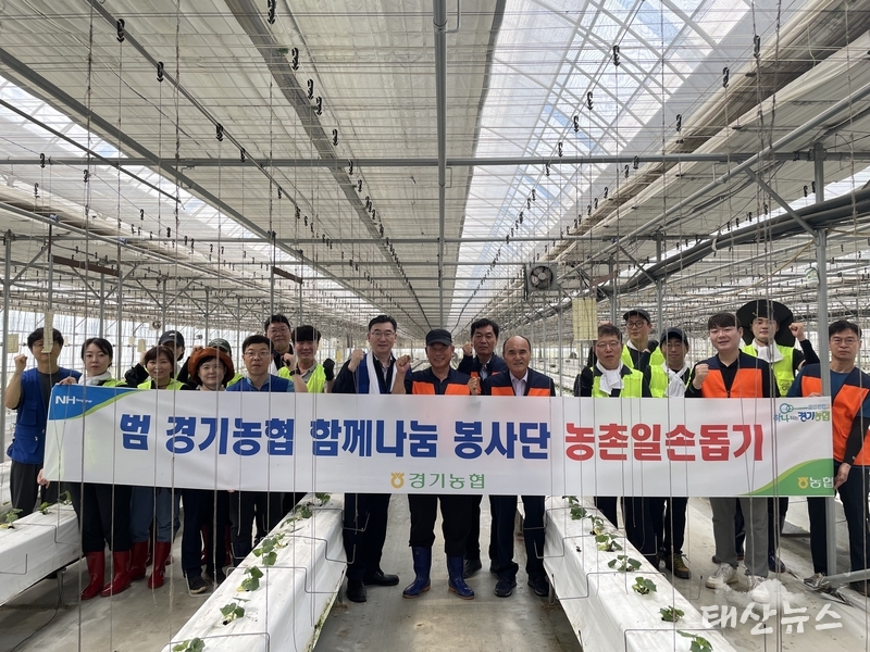 농협중앙회 경기본부와 오산시농협(오산시지부·오산농협) 임직원봉사단 20여명은 지난 19일 오산시 갈곶동 소재 오이 농가에서 농촌봉사활동을 펼쳤다.