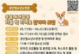 수원시청소년청년재단 권선청소년수련관 동물매개활동‘리틀 빅 히어로’참가자 모집