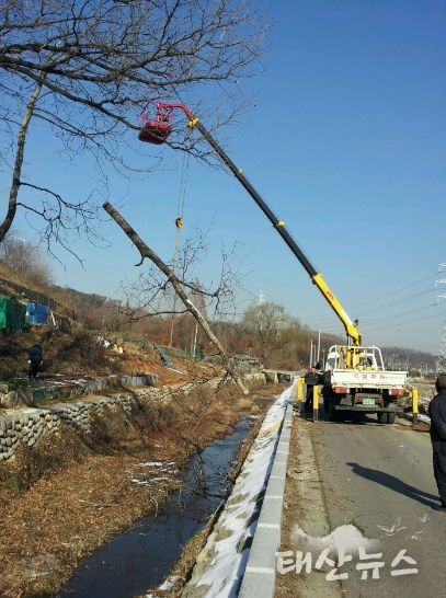 안산시, 주택가 등 인근 위험 수목 정비… 우기 대비 사전 예방