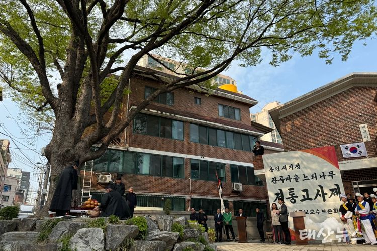 지난 11일 구갈동 관곡마을 주민들이 185년 된 보호수인 느티나무에서 전통고사제를 지냈다.