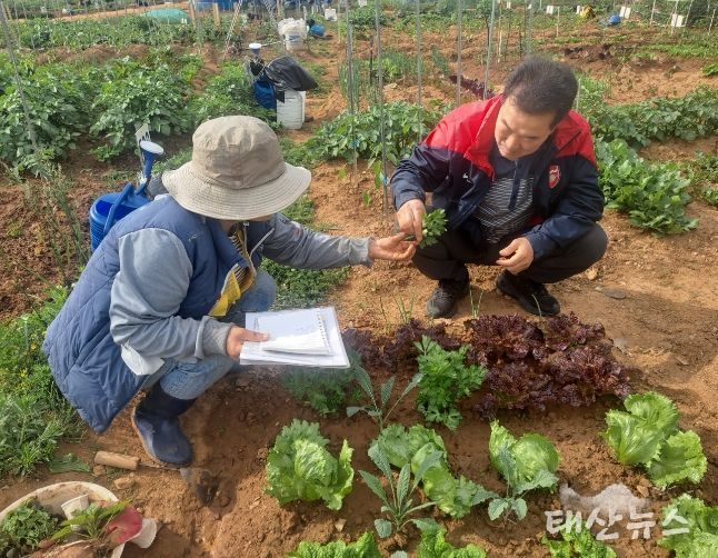 안산시, 주말농장 현장 모니터링…