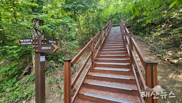 용인특례시는 처인구 포곡읍 신원 저수지에서 시작하는 선장산 숲길 0.5km 구간 숲길을 신설했다