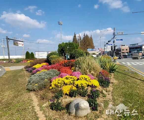 오산시, 화려한 가을 교통섬 조성
