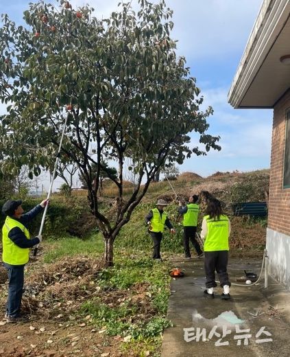 평택시 서탄면 경기행복마을관리소, “감 잡았어~ 감 수확해드립니다”