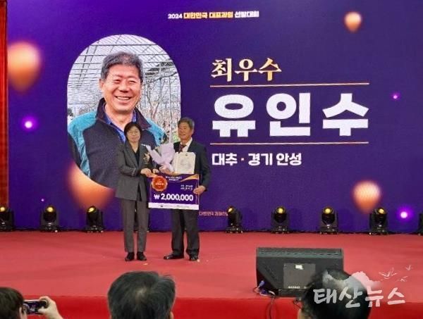안성시, 2024 대표과일선발대회 2년 연속 ‘대추’부문 최우수상 수상