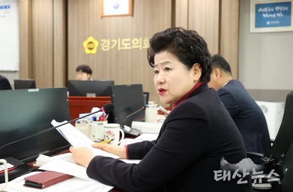 경기도의회 남경순 의원, 경기청년 기회사다리금융, 실패 없는 성공 위한 관리 대책 요구