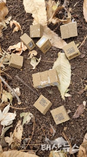 어묵형태의 반죽으로 만든 미끼백신