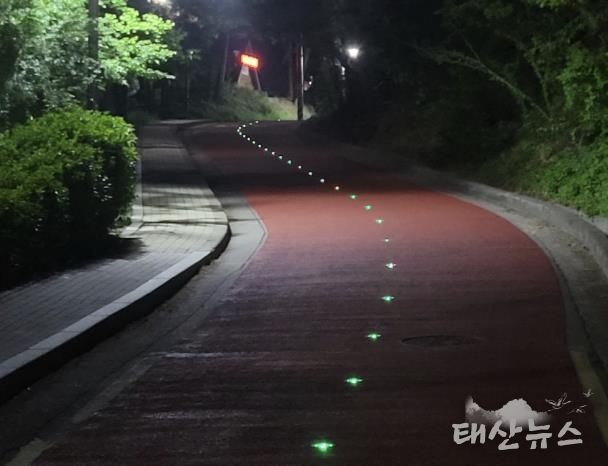 쏠라도로표지병