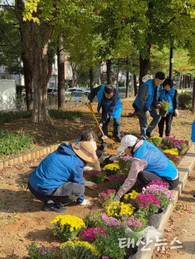 고양시 정발산동, 가을맞이 초화식재 행사 개최