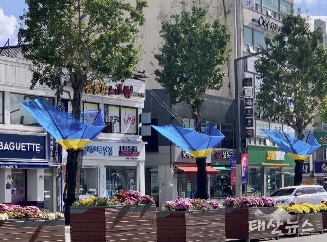 여주시, 은행나무 열매 악취 STOP!