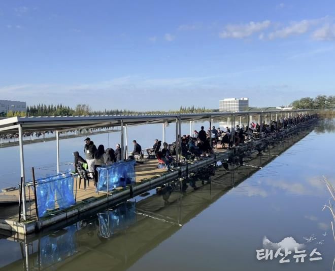 지난 24일 개최된 제16회 화성시장배 전국 민물낚시대회에서 참가자들이 붕어를 낚고 있다
