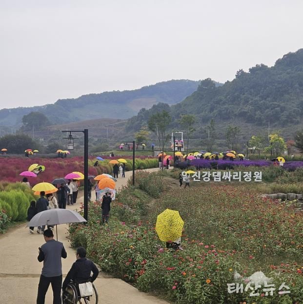 연천군 중면 임진강 댑싸리정원 지역 관광명소로 우뚝!