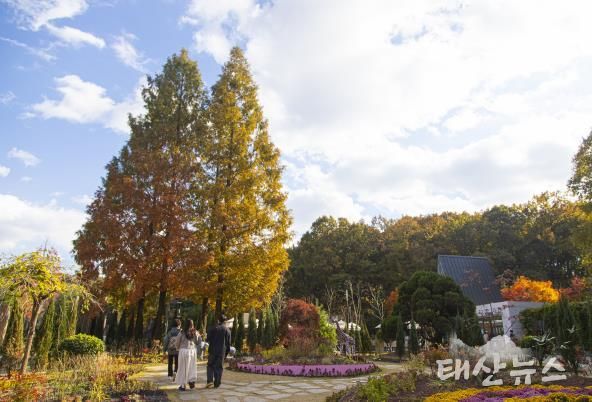 무릉도원수목원