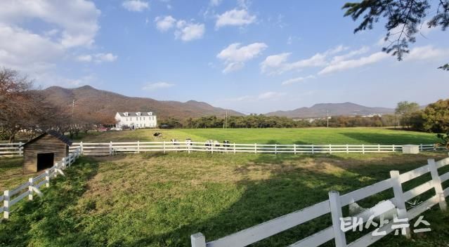 전국 최우수 친환경 농장으로 선정된 '농도원목장'