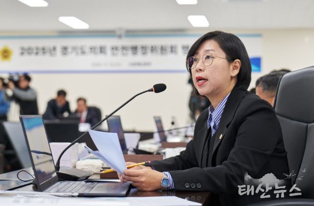 이은미 경기도의회 의원(더불어민주당, 안산8)