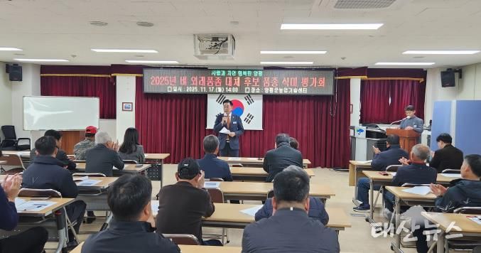 양평군, 벼 외래품종(추청) 대체 품종 선발을 위한 식미 평가회 개최