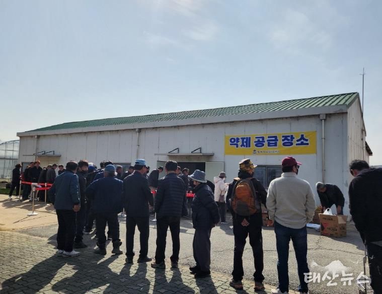 평택시, 과수화상병 및 돌발해충 약제 신청하세요!