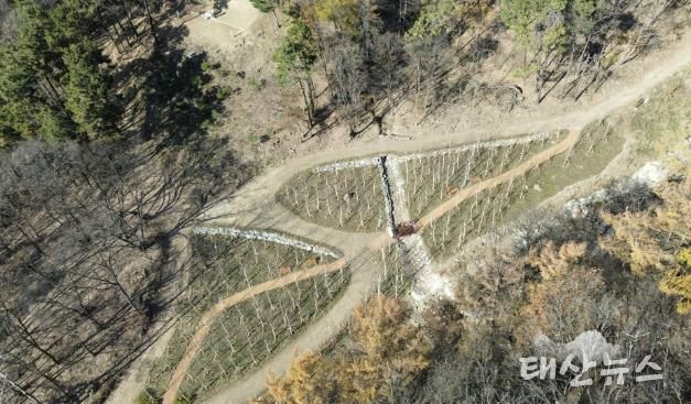 용인특례시가 수지구 죽전동에 조성한 '도시 숲' 모습