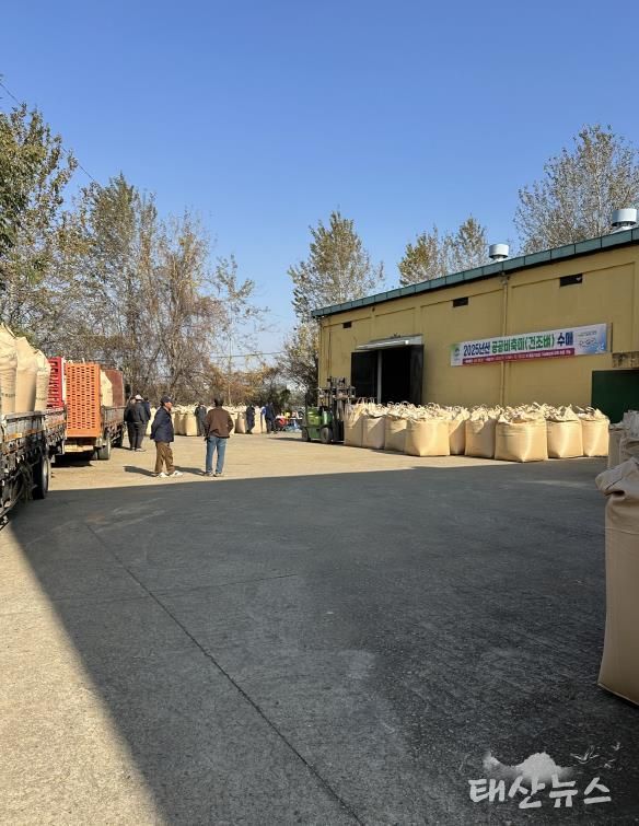 평택시, 2025년산 공공비축미곡 건조벼 매입 실시