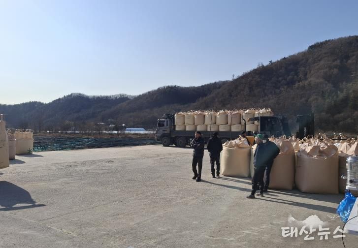 양평군 양동면, 2025년산 공공비축미 299톤 매입