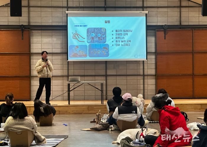 댕댕 힐링클래스 진행 모습