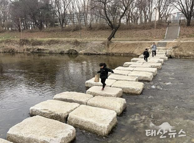 성남시 분당구 구미동 성남물빛공원~무지개마을 잇는 탄천 징검다리