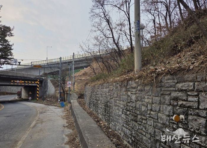 남양주시, 양정동 도심 가시박 제거로 생태환경 개선(제거 후)