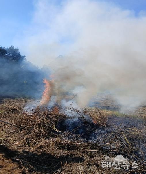 안성시, 농촌지역 산불․화재 예방 불법소각 집중단속 결과, 올해 81건 적발