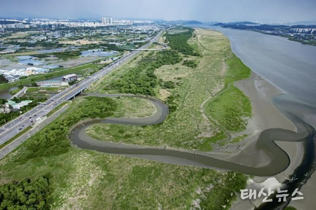 람사르 고양장항습지 전경