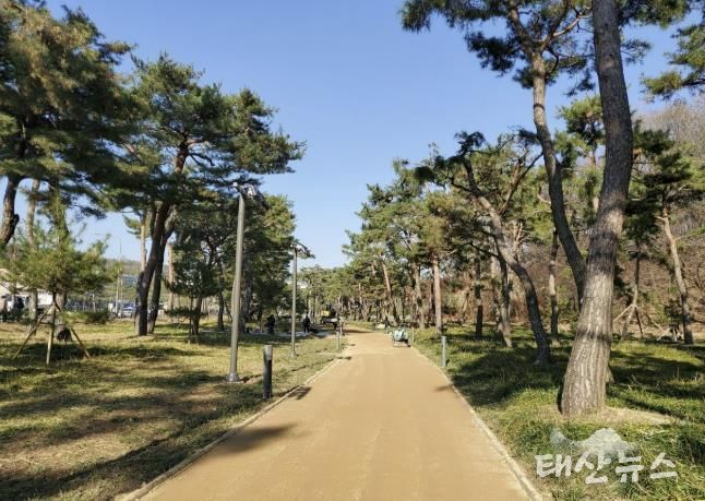 수원시 장안구, 노송공원 내 고보조명과 함께 '명품 맨발걷기길' 조성