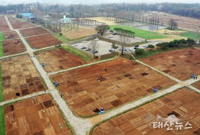 탑동 시민농장 텃밭