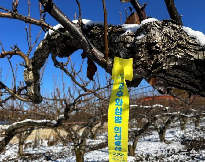 과수화상병 확산 방지