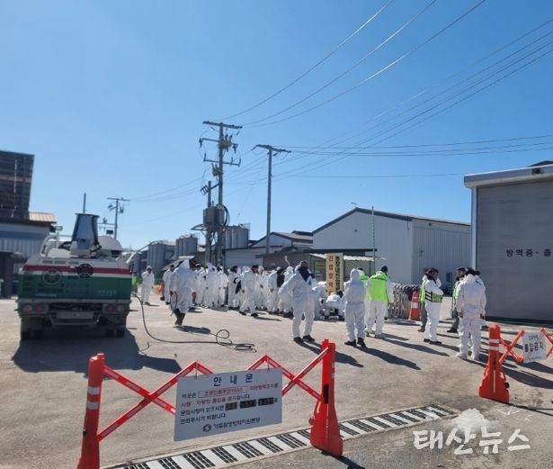 포천시, 고병원성 조류인플루엔자(AI) 발생…긴급 방역조치 실시