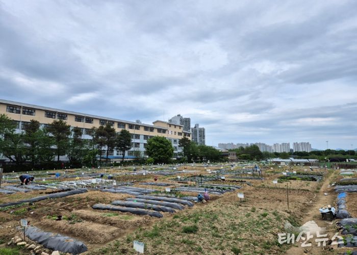 구리시, 「2026년 토평동 구리도시텃밭」운영