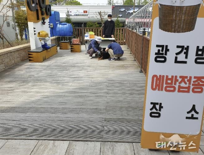 여주시, 상반기 광견병 무료 접종 실시